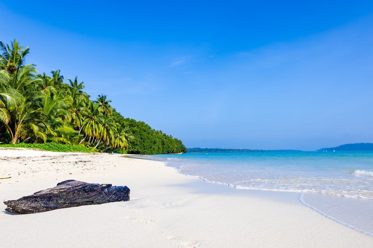 Havelock 
