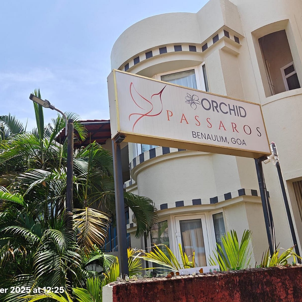 The Orchid Passaros 